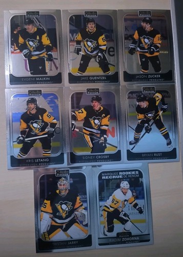 Pittsburgh penguins pee - pittsburgh, o-pee-chee